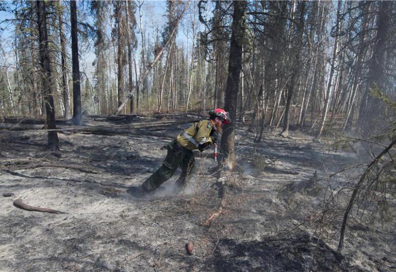 Kanada: Šumski požari ne jenjaju, Alberta i dalje gori